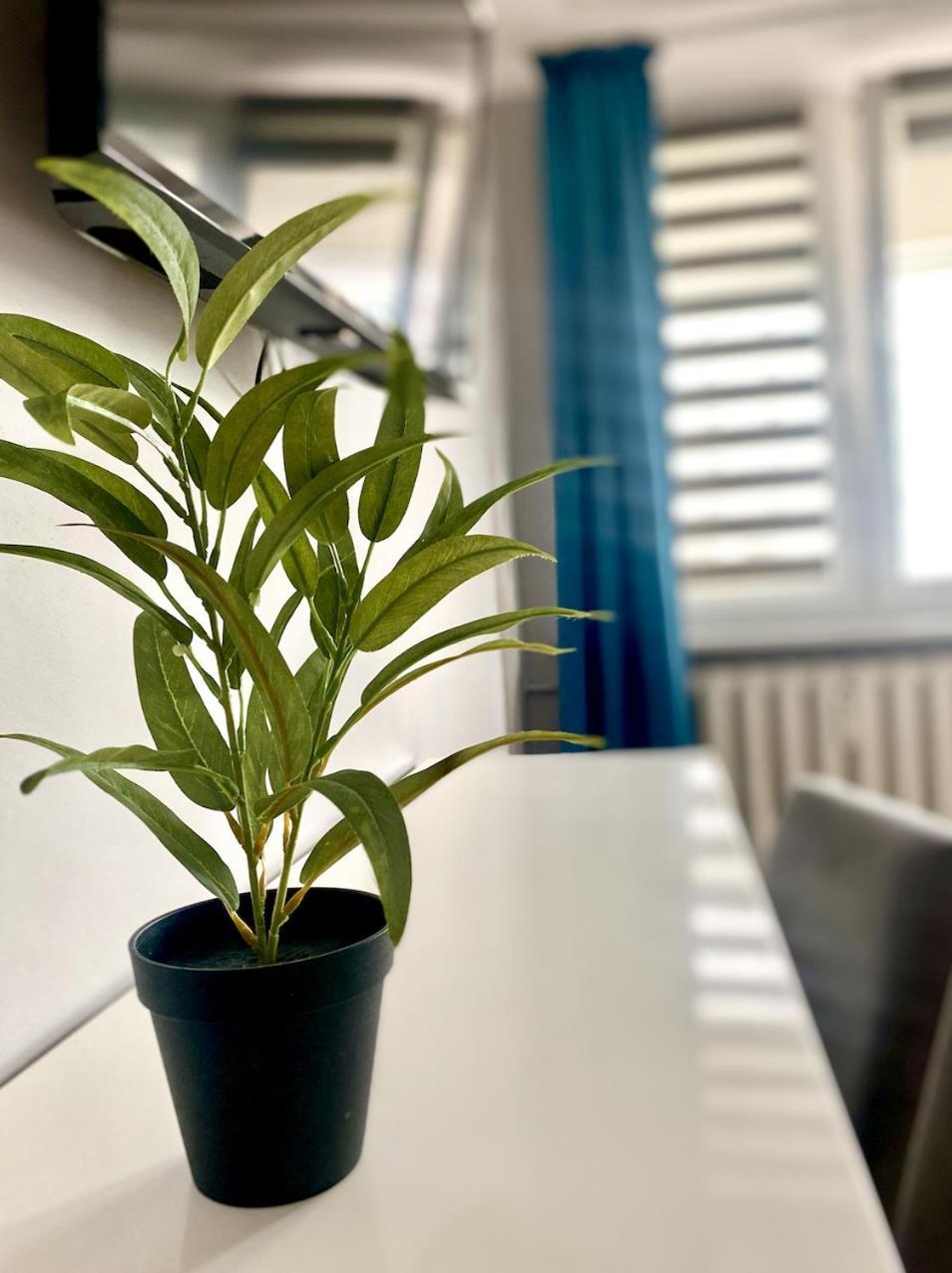 Doba Rent Pokoje Centrum Palacowa Białystok Exterior foto